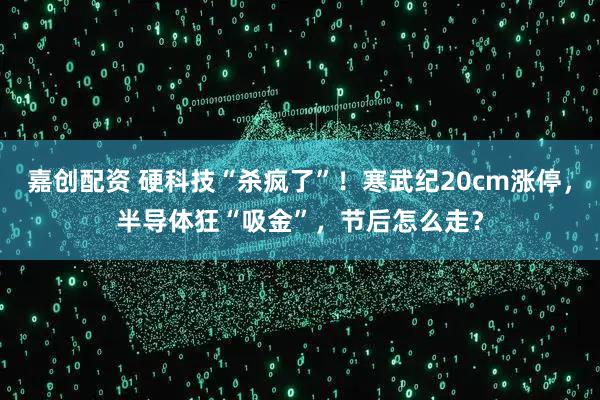 嘉创配资 硬科技“杀疯了”！寒武纪20cm涨停，半导体狂“吸金”，节后怎么走？